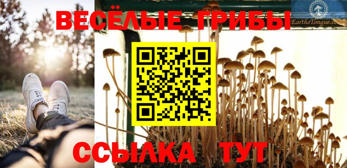 Псилоцибиновые грибы мухоморы  Галлюциногенные грибы мухоморы  наркошоп  Вход с VPN  Мытищи 